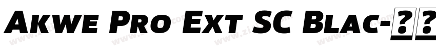 Akwe Pro Ext SC Blac字体转换